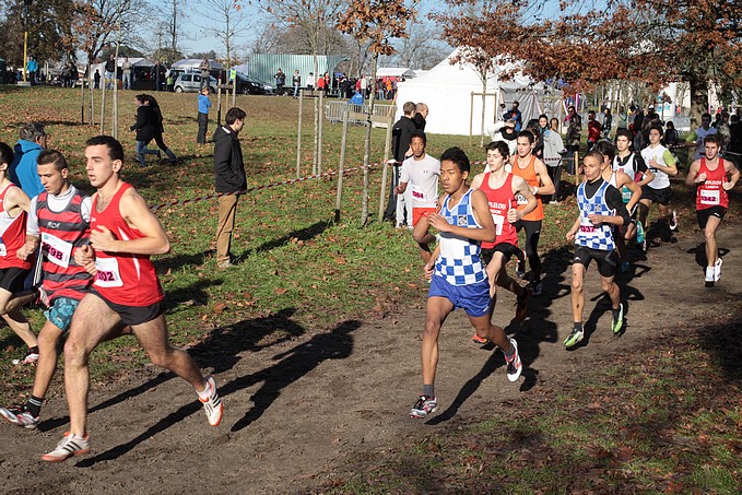 Diapositive suivante